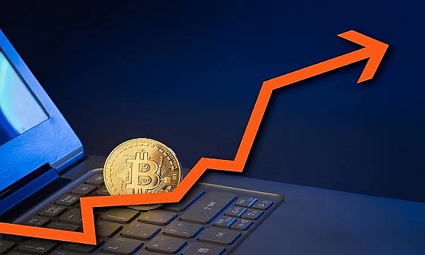 当蚂蚁精英遇上Web3：一场关于信仰的冒险
